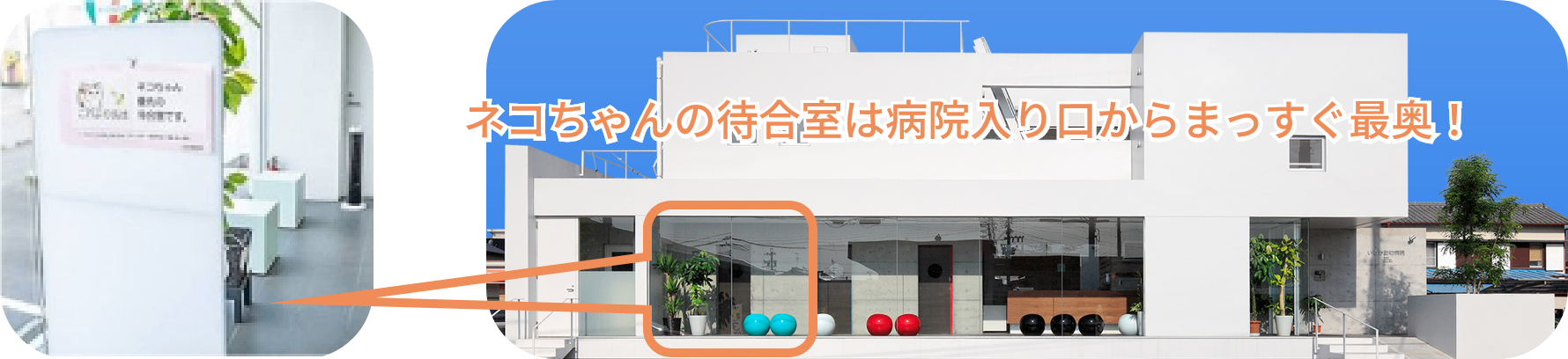 猫専用診察室の場所を示す院内案内