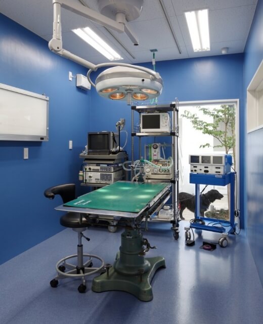 いるか動物病院の手術室
