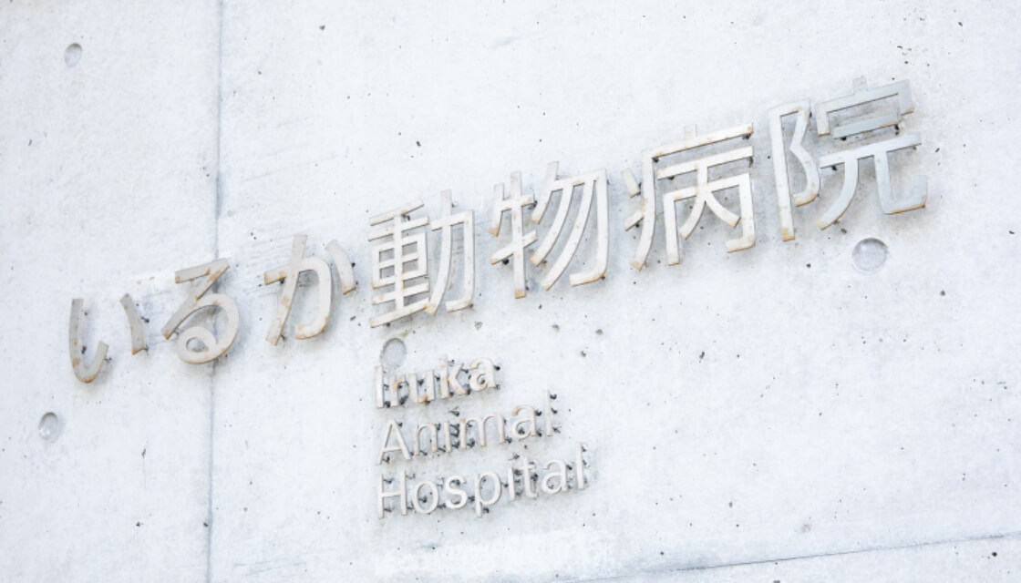 いるか動物病院の看板ロゴ