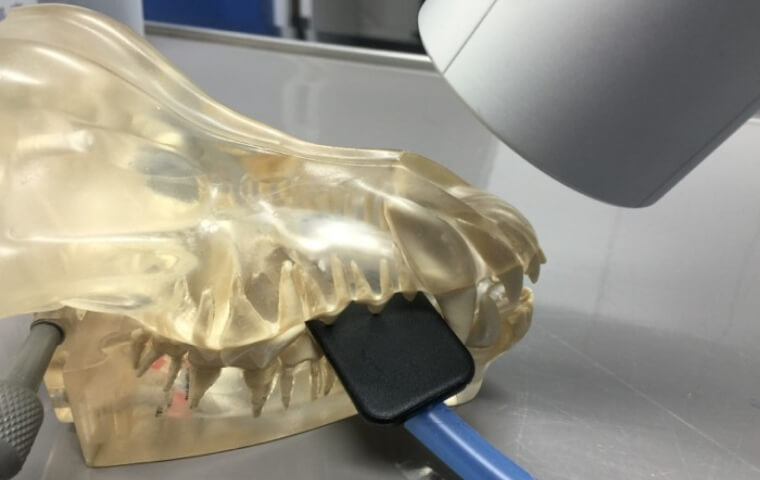 歯科レントゲンセンサー