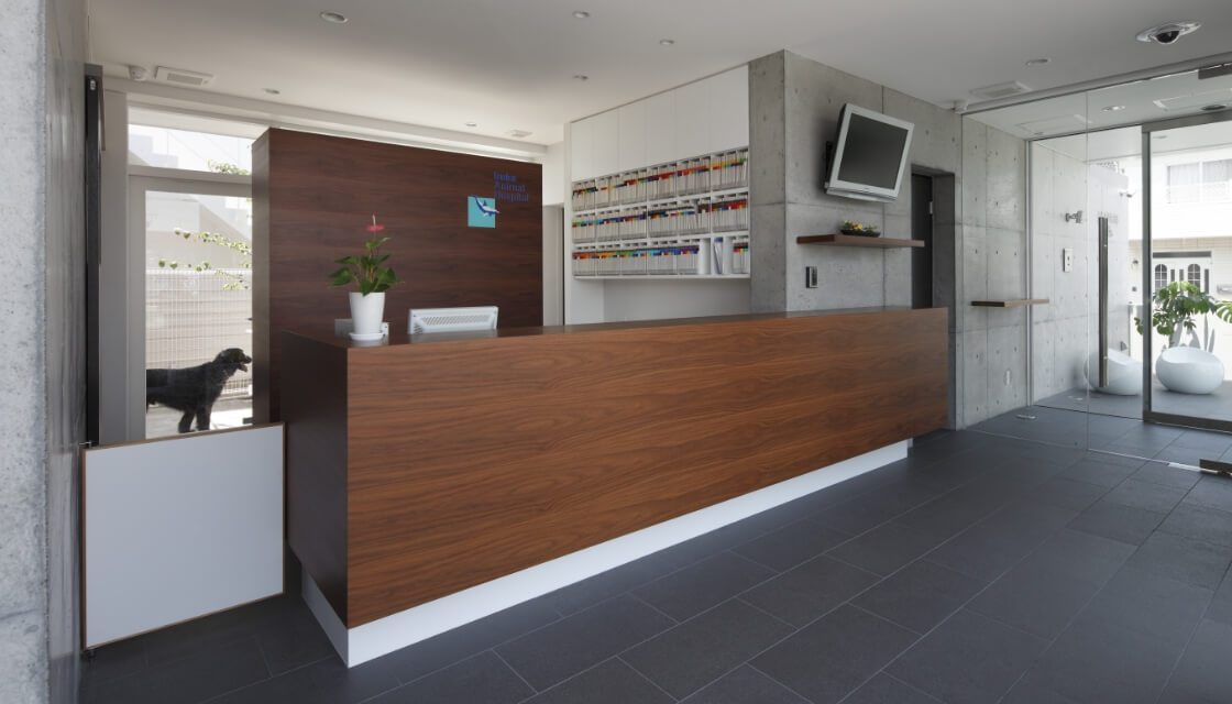 いるか動物病院の院内待合室