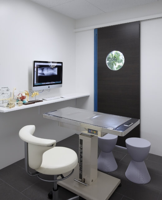 いるか動物病院の診察室